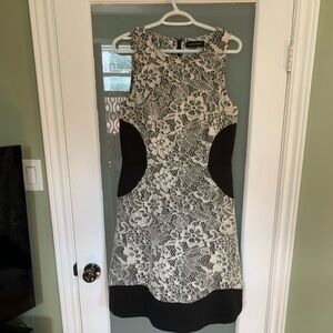 Ivanka Trump Dress, Lace and Flowy